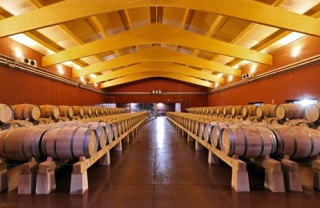  Salle des abricots 